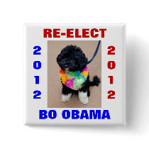 BO OBAMA 2012 PINBACK BUTTON