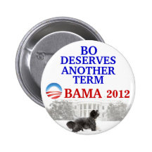 Bo Obama 2012 pin