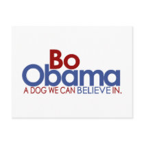 Bo Obama the Dog postcards
