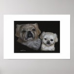 Bo & Sissy posters