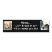Bo & Stan bumper sticker bumper stickers