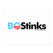 BO Stinks Graphic Post Card