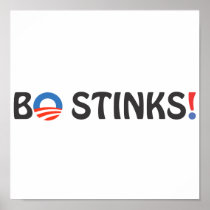 BO STINKS Poster