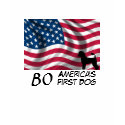 BO t-shirts