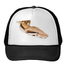 Boa Constrictor Hat