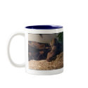 boa constrictor mugs