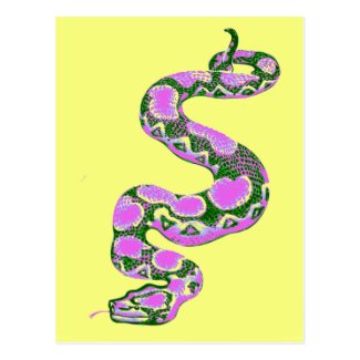 Boa Constrictor Pop Art Postcard