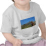 Boardwalk, Florida, Cape San Bur beach picture Shirts