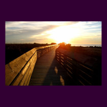 Boardwalk posters