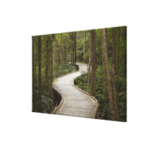 Boardwalk to Nelson Falls, Franklin - Gordon Gallery Wrap Canvas