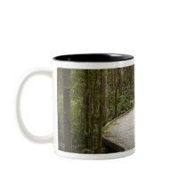Boardwalk to Nelson Falls, Franklin - Gordon Mugs