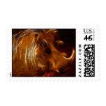 Boars beauty in the beast postage