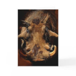 Boars love me if you can greeting card