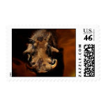 Boars love me if you can postage