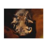 Boars love me if you can postcard