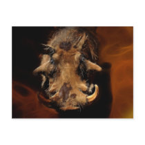 Boars love me if you can postcard
