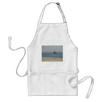 Boat off Bournemouh beach Apron