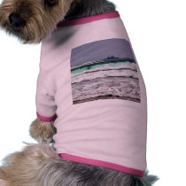 Boat Race 4 pet clothing