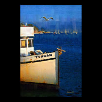 Boat, Seagull, Sunset, Morro Bay, Calif posters