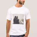 boat t-shirts