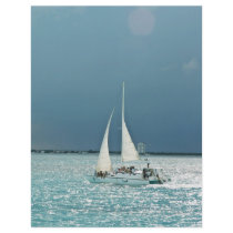 Boating in Mexico flyers