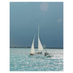 Boating in Mexico flyers