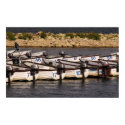 boats 3 posters