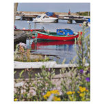 Boats docked in small harbor flyers