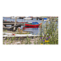 Boats docked in small harbor photo cards