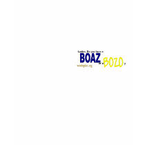 Boaz Ladies T-Shirt