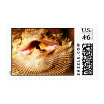 Bob the bearded dragon postage