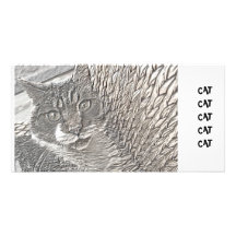 BOB THE CAT PHOTO CARD