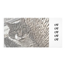 BOB THE CAT photo cards