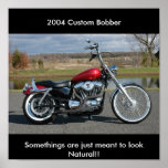 BoBBer , Somethings are just meant... - Customized Posters