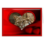 bobcat-00124-65x45 greeting card