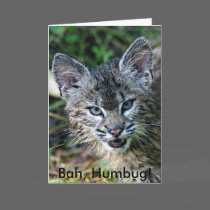 BobCat, Bah, Humbug! cards