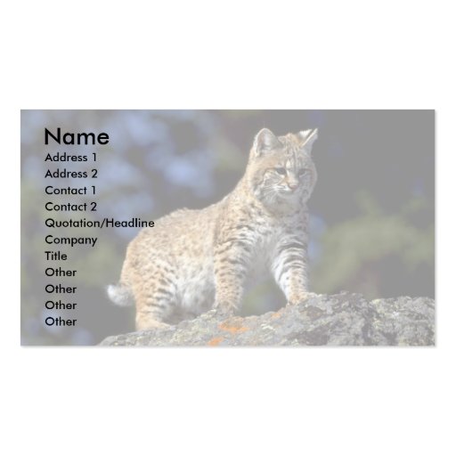 Bobcat Business Cards