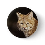 Bobcat Close-Up Buttons