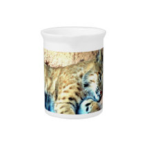 Bobcat Habitat Pitcher