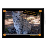 Bobcat Halloween Card Simple