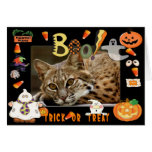 Bobcat Halloween Cards Fancy