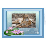 Bobcat Holiday Greeting Card & Note Card