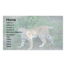 Bobcat in summer meadow business card