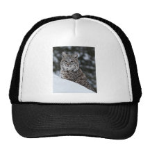 Bobcat in the Snow Trucker Hat