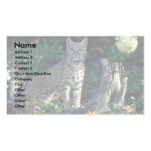 Bobcat in yellow daisies and bear grass in bloom business card template
