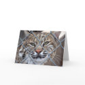 Bobcat Lynx Wild Cat Greeting Card