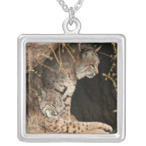 Bobcat Necklace