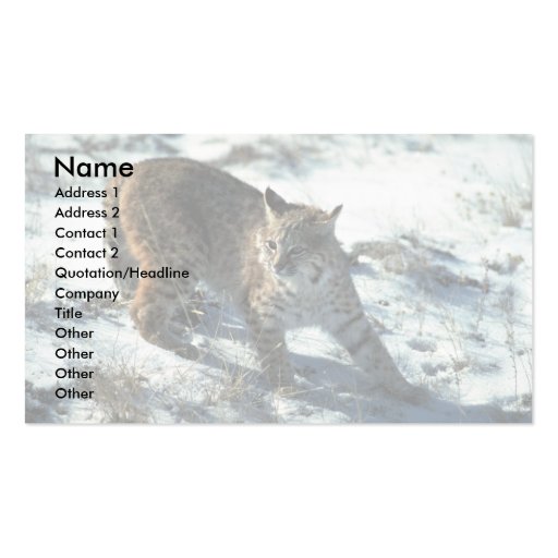 Bobcat on snow business card template (front side)