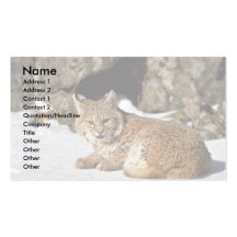 Bobcat on snowy rocks business card template
