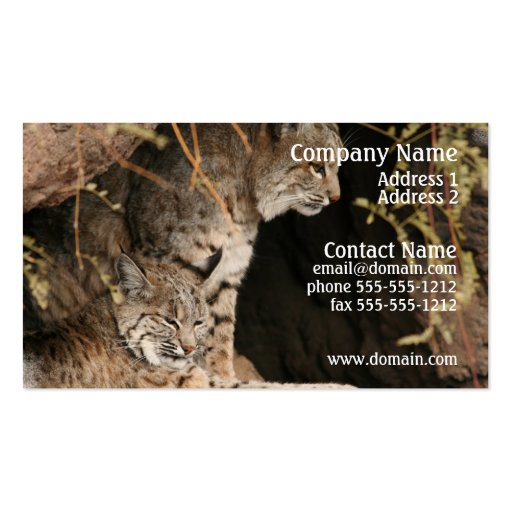 Bobcat Photo Business Card (front side)